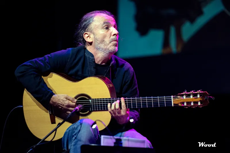 AL DI MEOLA 8