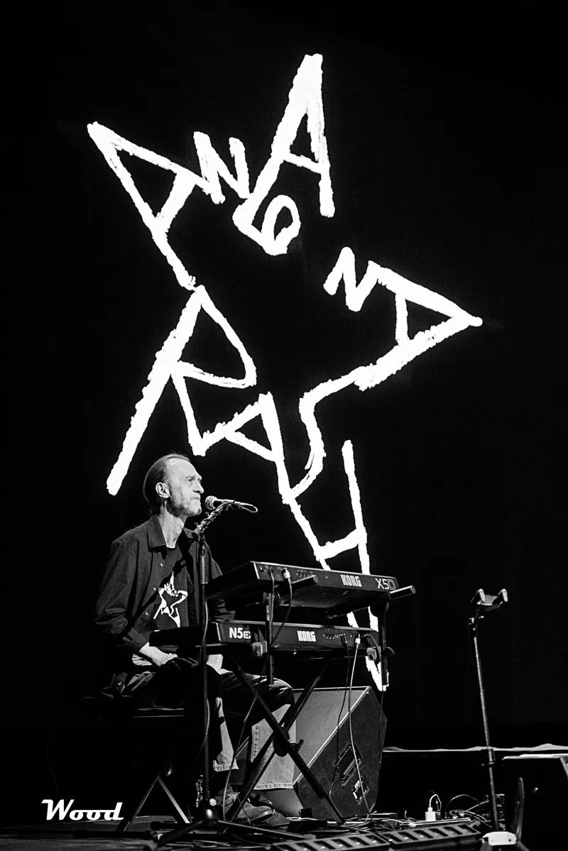 ANALOGNA RASA 7