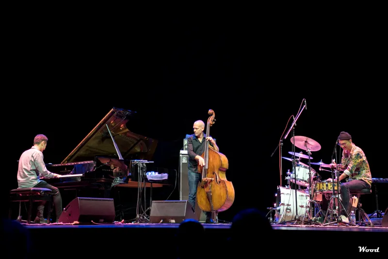 AVISHAI COHEN TRIO 2
