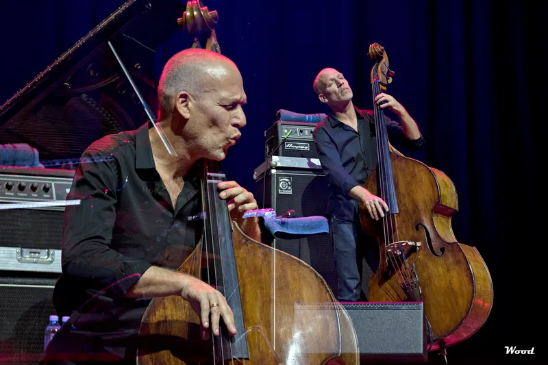AVISHAI COHEN TRIO 3
