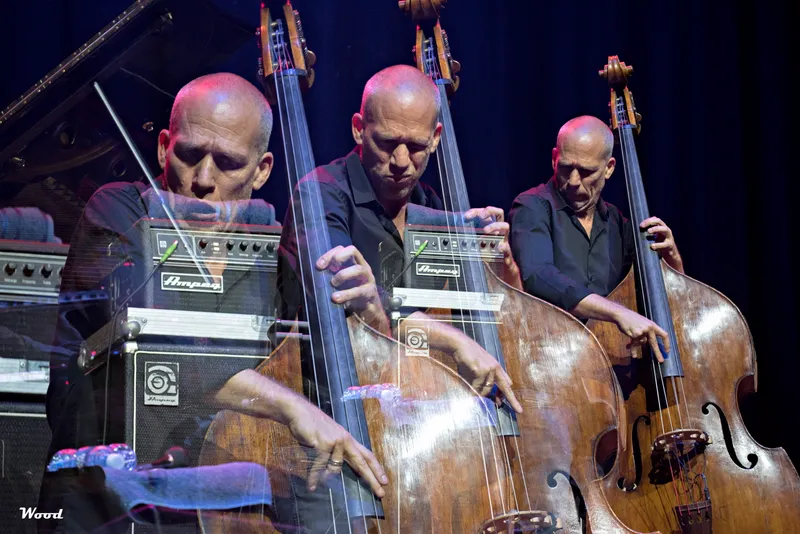 AVISHAI COHEN TRIO 6
