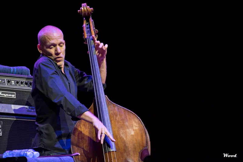 AVISHAI COHEN TRIO 8