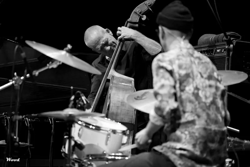 AVISHAI COHEN TRIO 9