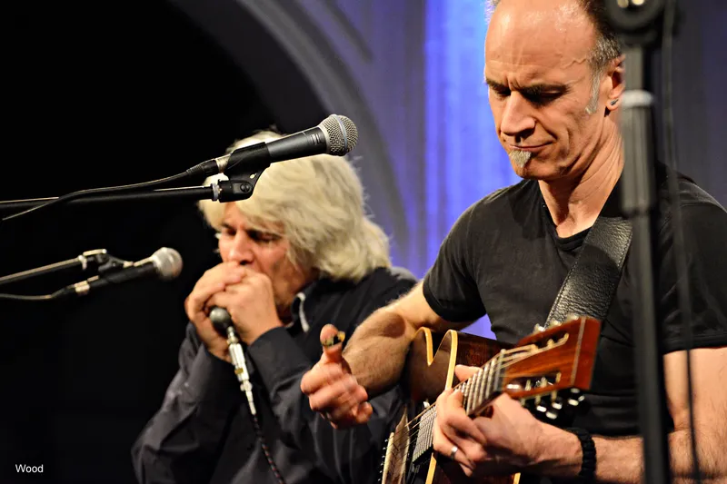 BLUES TRIO