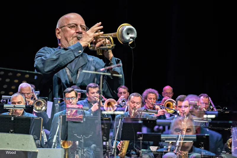 DUSKO GOJKOVIC STJEPKO GUT 2