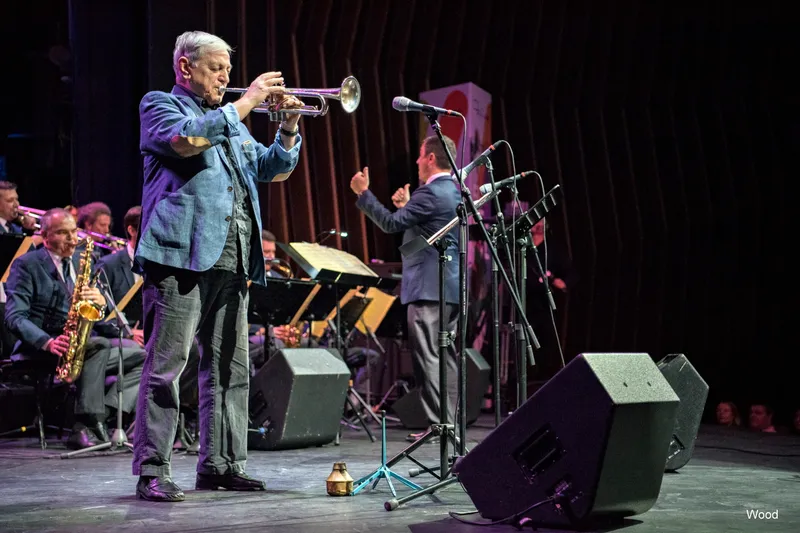 DUSKO GOJKOVIC STJEPKO GUT 5