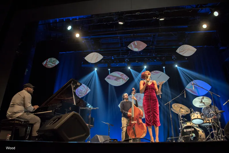JAZZMEIA HORN 9