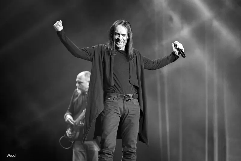 KORNI GRUPA 7