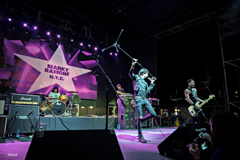 MARKY RAMONE 6