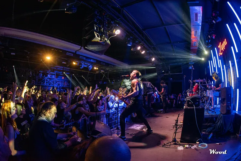 MARKY RAMONE 8