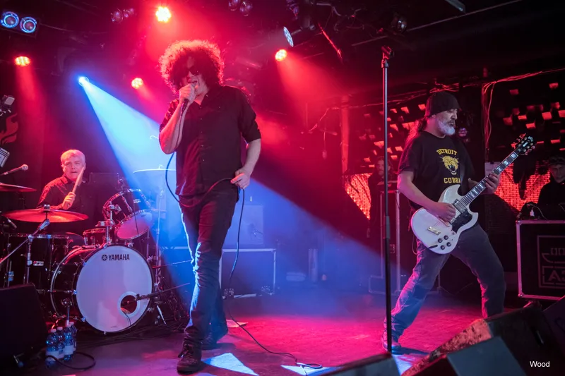 MC5 4