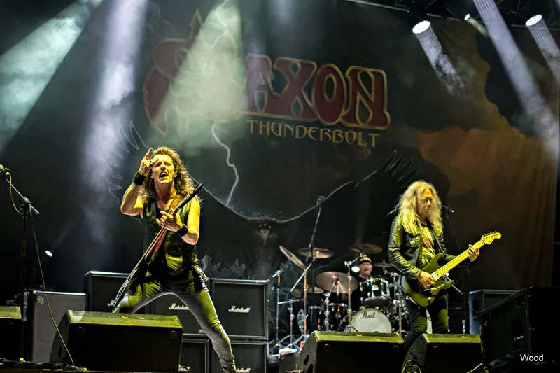 SAXON 5