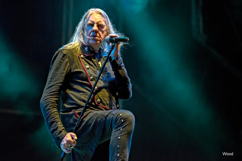 SAXON 6