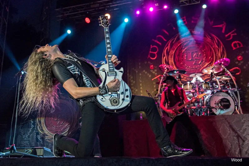WHITESNAKE 4