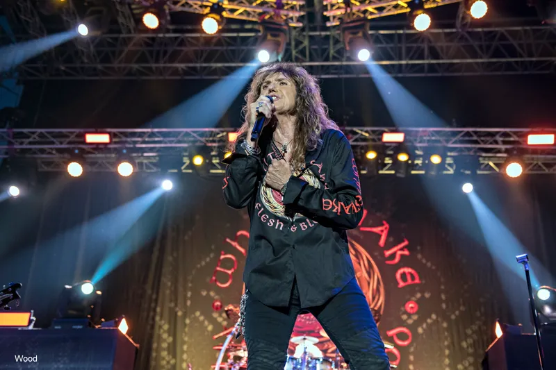 WHITESNAKE 7