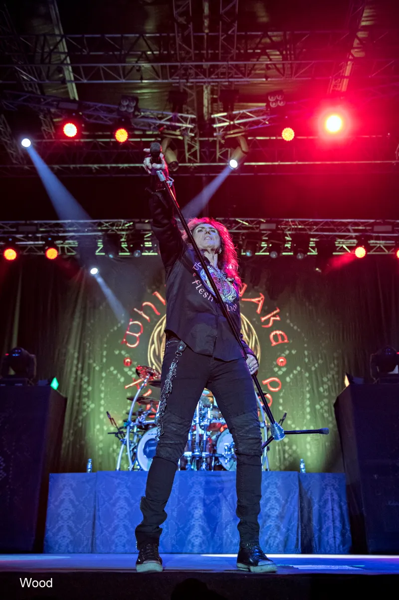 WHITESNAKE 10