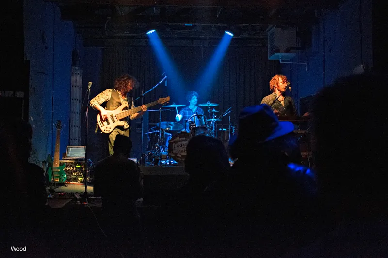 WILLE AND BANDITS