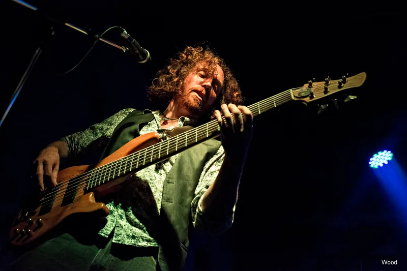 WILLE AND BANDITS 3