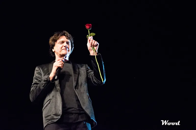 ZDRAVKO COLIC 6