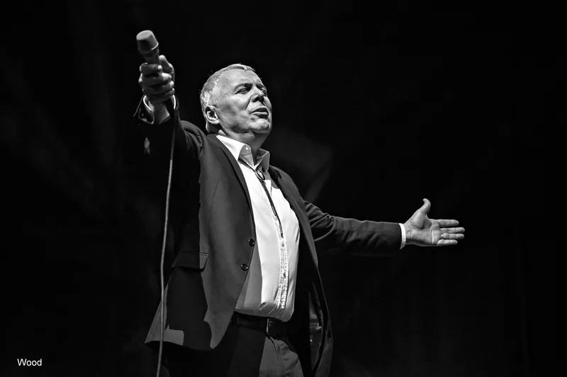 ZORAN PREDIN 4